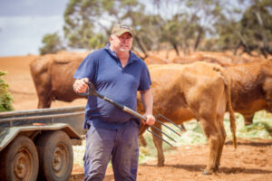 Werrimull farmers forced to sell stock as drought bites hard