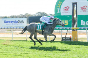 Payne, Rawiller still on top