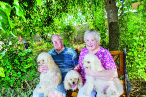 Seeking a change of pace