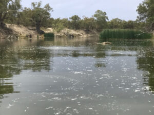 Wait and see on fishing embargo