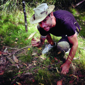 Easy to get a taste for mushrooms