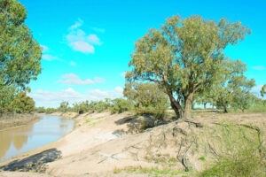 Water body ‘needs funds’