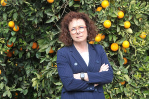 Melbourne backpackers had no isolation plan, says Webster