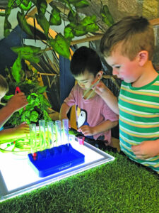 Discover the Magic of Learning and Play
