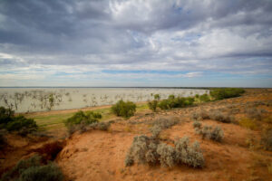 Red alert for blue-green algae at Menindee