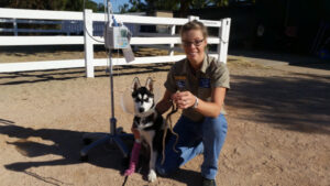 Nangiloc puppy swallows killer snake … whole