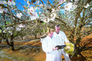 Inspectors buzz in