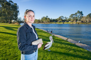Pesky pelican pinches Mildura woman’s purse