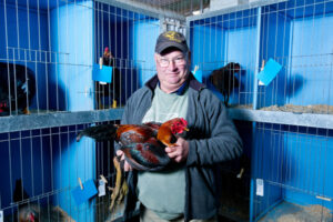 It’s a ‘love affair’