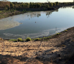 Block bank removal to see water start flowing to Pooncarie