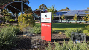 La Trobe nets nursing grant