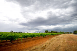 Storm warning: Wind, hail, heavy rain