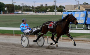 Mildura trots: Stars shine on track