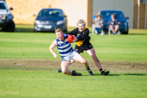 Dogs show bite against Tigers