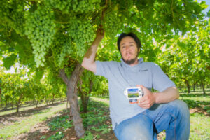 Technology keeping things cool for Budou Farms