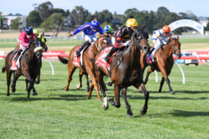 Energised Egan primed for six-ride meeting