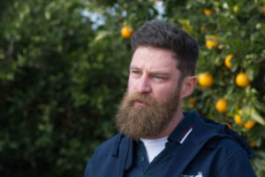 $1.7 million a day in fruit to go unpicked, says citrus boss