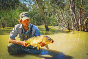 Beating the carp out of our suffering rivers