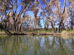 Wentworth’s Junction Island remains closed after fire
