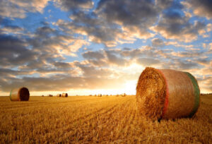 Helping keep our farmers connected