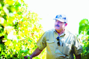 Let’s be Frank: Existing growers need water security amid wave of new plantings, says Frank Dimasi