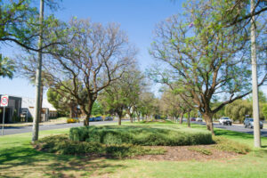 Anthony Cirillo: tap into water supply