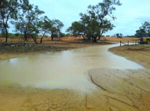 Heavens open up for Pooncarie