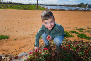 All the fun’s at Benetook Farm