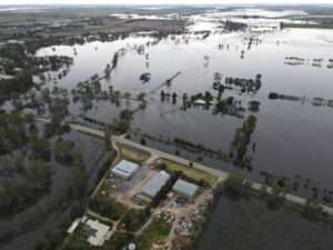 MP wants parliament to sit in flood zone