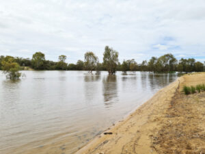 Summer swim warning for inland waterways