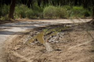 Vehicles rescued at Kings Billabong