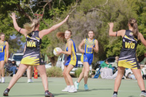 Wins to Dees, Swallows, Roos and Pies