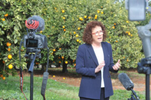 Anne Webster set for pre-parliament isolation