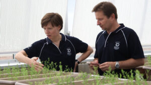 Inoculation trial success