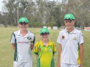 Performances by young Sunraysia cricketers full of merit