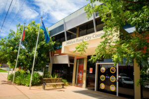 Support for councillors