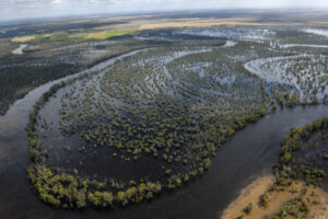 Murray flood passes historic mark