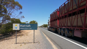 Warning for drivers on Hattah-Robinvale road