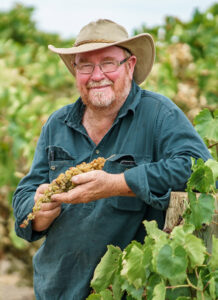 Grant aims at grape yield boost
