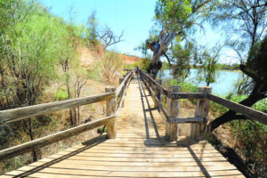 Town fights to save walk