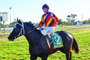 Trainer stoked by stables’ success going into Cup