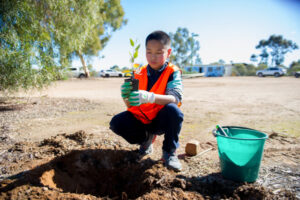 A chance to show off your green thumb