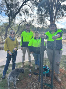 Riverfront planting under way