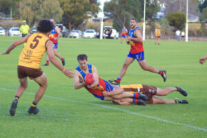 Hawks challenge unbeaten Lions