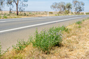 Weed control funding