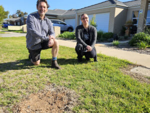 More shade for Mildura streets