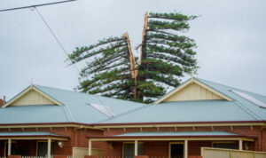 ‘It was like a bomb had gone off’