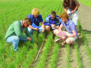 Crop trials on show