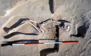 Legal threat to halt Mungo reburial