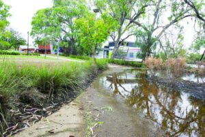 Transition to recovery for Sunraysia